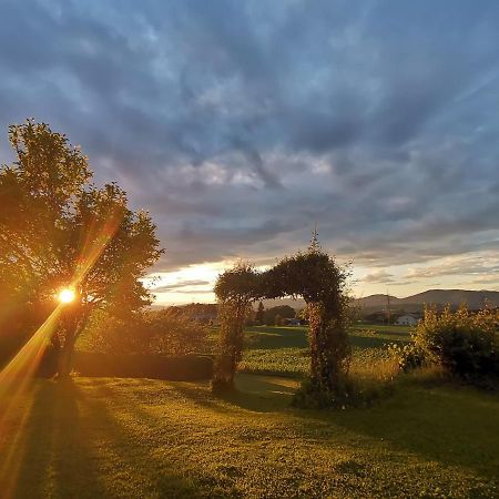 Privatzimmer Steiner Weitendorf  Zewnętrze zdjęcie
